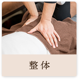整体